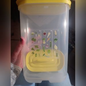 Tupperware FridgeSmart